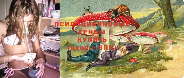 молекула духа Баксан